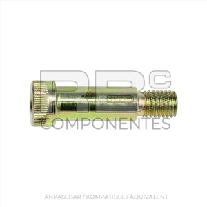 ZENTRALSCHRAUBE AN/KO/GL JL 3900109