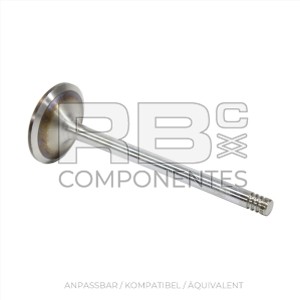 ANPASSBARES EINLASSVENTIL DTZ BF4M