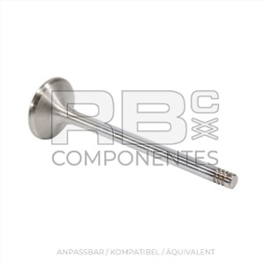 ADAPTIVES AUSLASSVENTIL DTZ BF4M