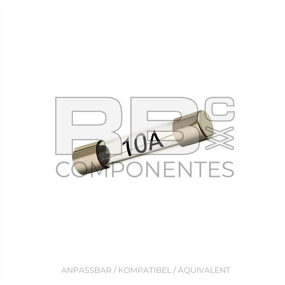 GLASSICHERUNG 10 A