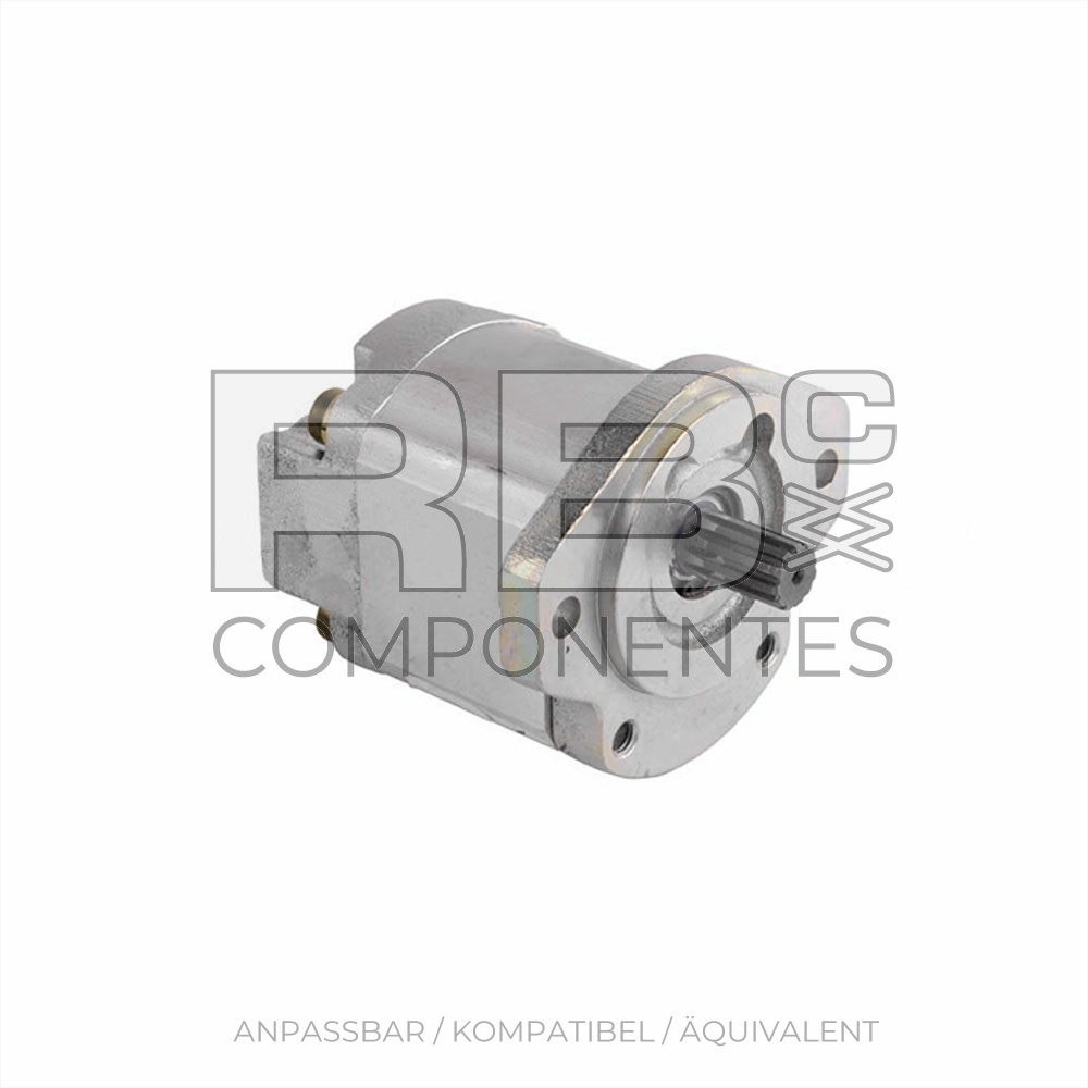 ANPASSBARE PUMPE GE 104070