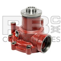 ANPASSBARE WASSERPUMPE DTZ BF4M