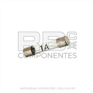 GLASSICHERUNG 1 A