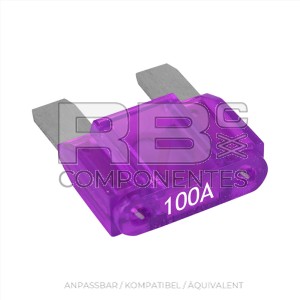 MAX.SICHERUNGSKARTE TYP 100 A