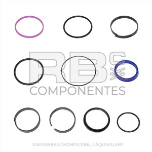 DICHTUNGSSATZ ANPASSBAR REF. 2421693820